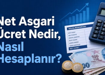 Net Asgari Ücret Nedir, Nasıl Hesaplanır?