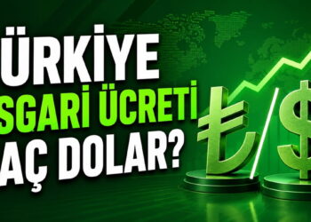 Türkiye Asgari Ücreti Kaç Dolar?